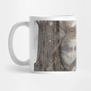 Grey squirrel in a tree Mug